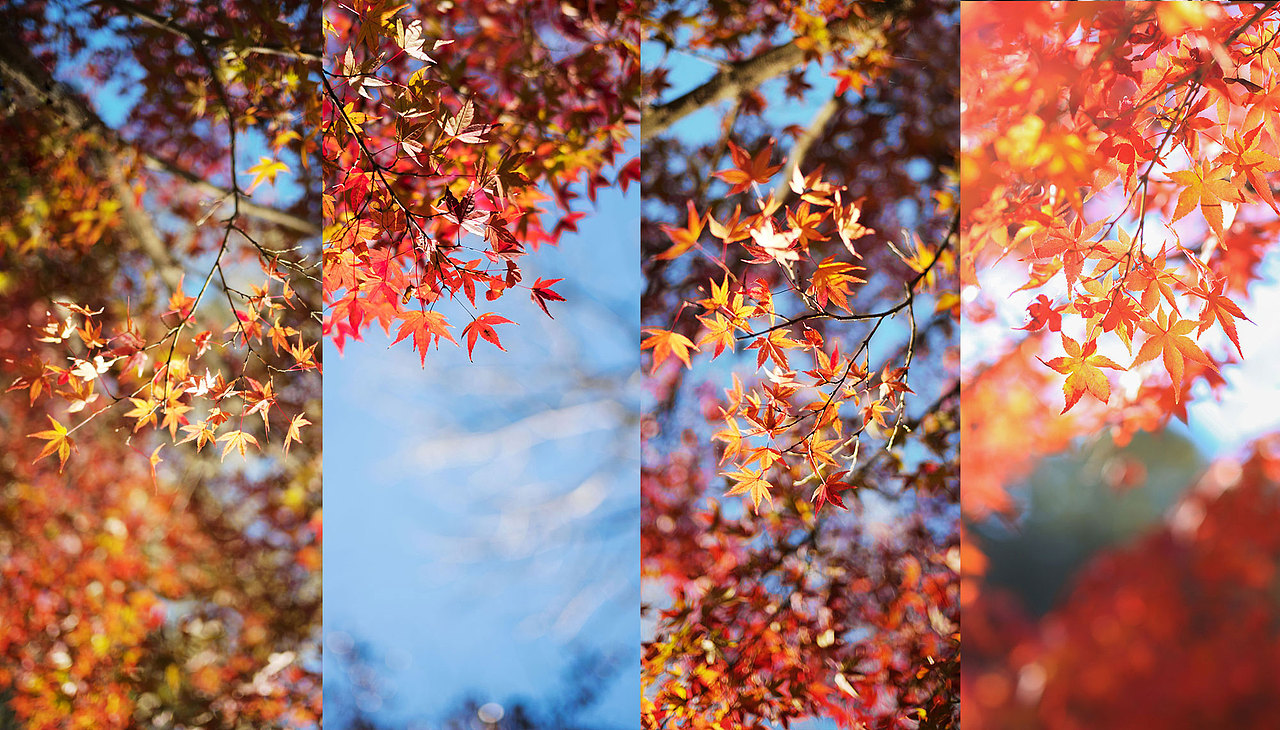 人间的色彩|摄影|风光摄影|七七小菇凉_原创作品-站酷(zcool)