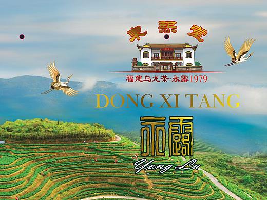 东熙堂-福建乌龙茶-彩箱