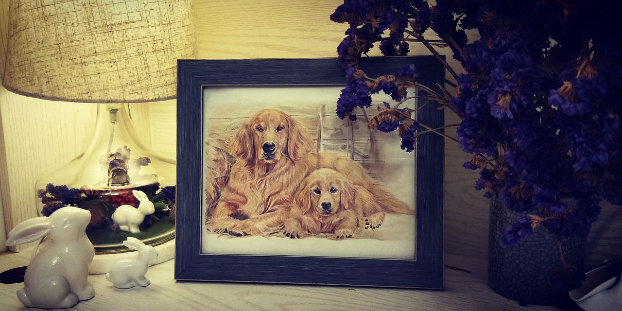 刚刚学习签字笔画小动物,来向大家学习了,请朋友们多多提宝贵意见