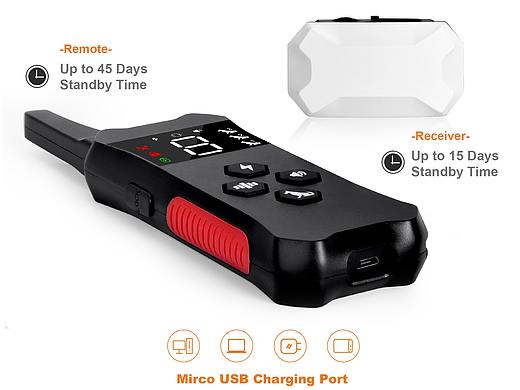 亚马逊狗狗训练器图片制作,产品拍摄精修