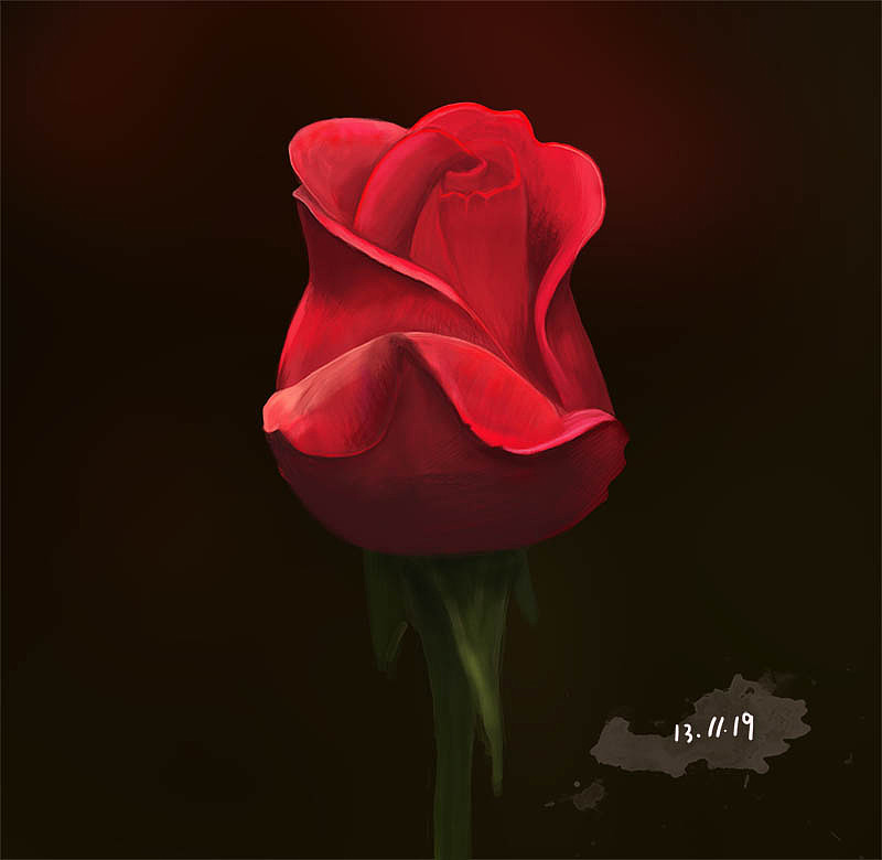 玫瑰（图ZMTI2ODk4MTY=） - 创作习作 - 站酷设计师豆芽喝水去原创素材 - 站酷ZCOOL