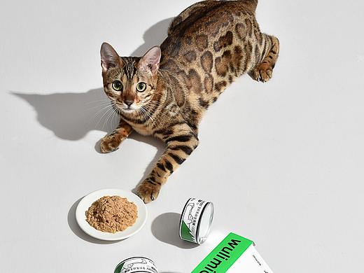 宠物食品/宠物用品之wulimiao主食罐