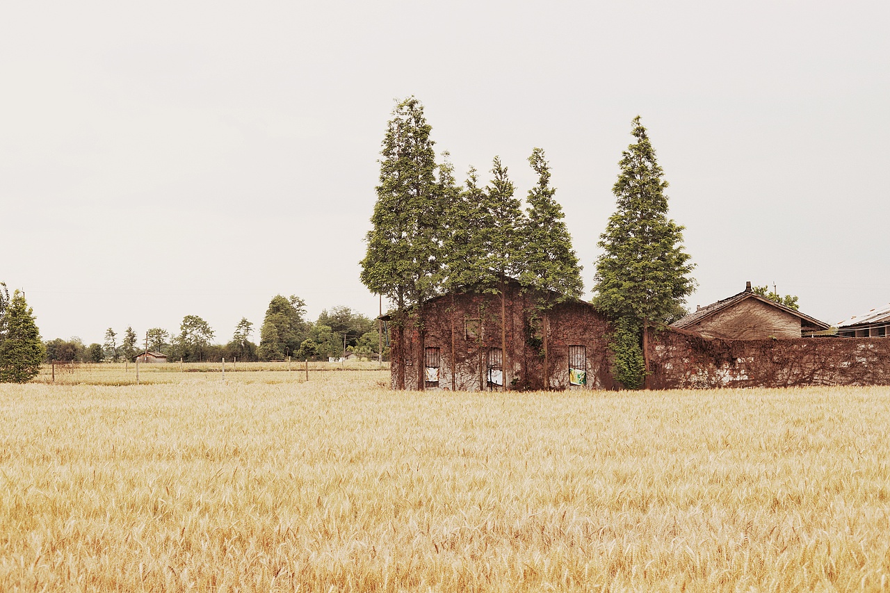 麦田（图ZMTU4MjE0NDY4） - 风光摄影 - 站酷设计师未&来原创素材 - 站酷ZCOOL