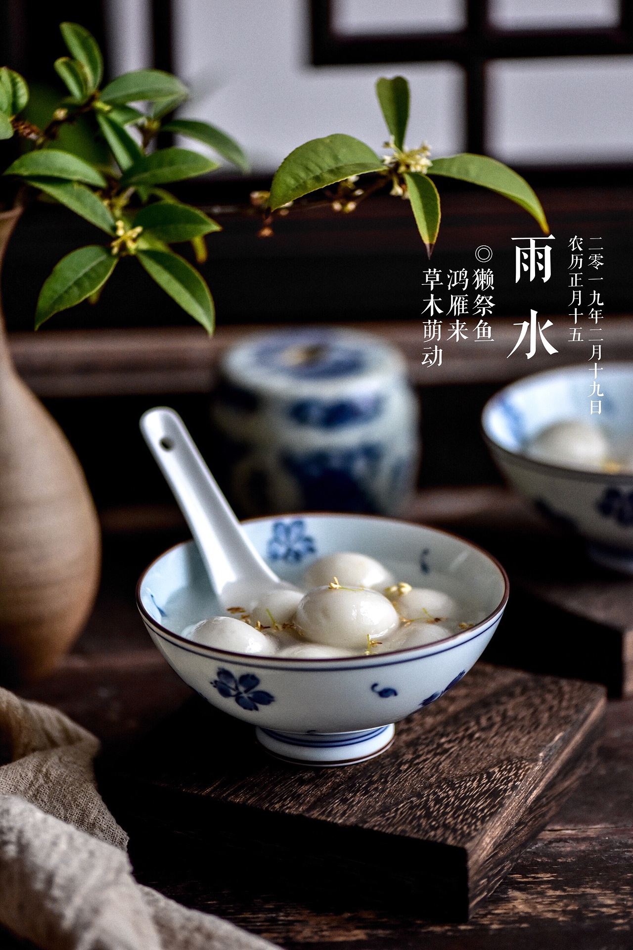 二十四节气雨水