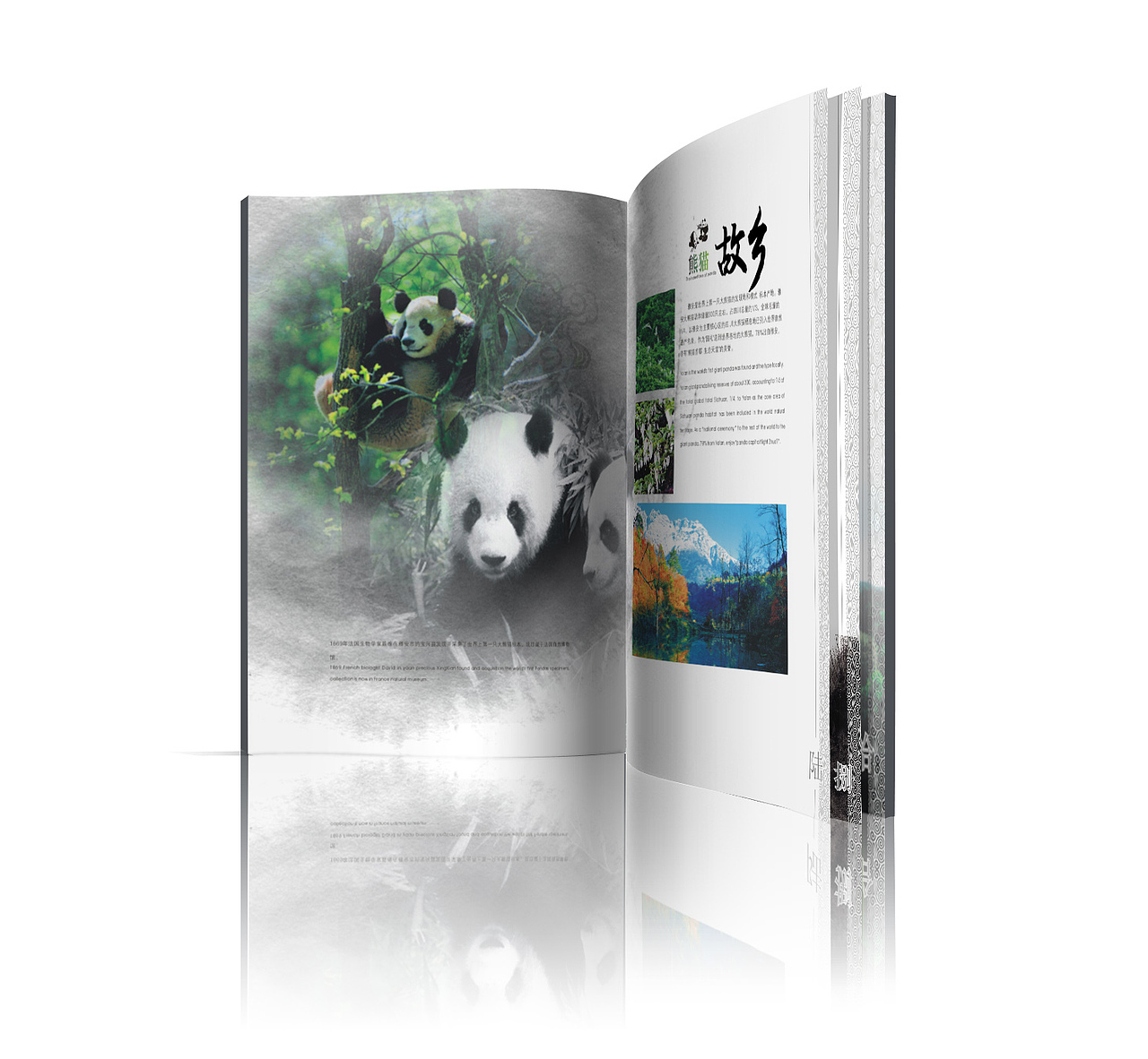 雅安招商手册（飞机稿）（图ZNDI1NDA3MTY=） - 书籍/画册 - 站酷设计师归归归归零原创素材 - 站酷ZCOOL