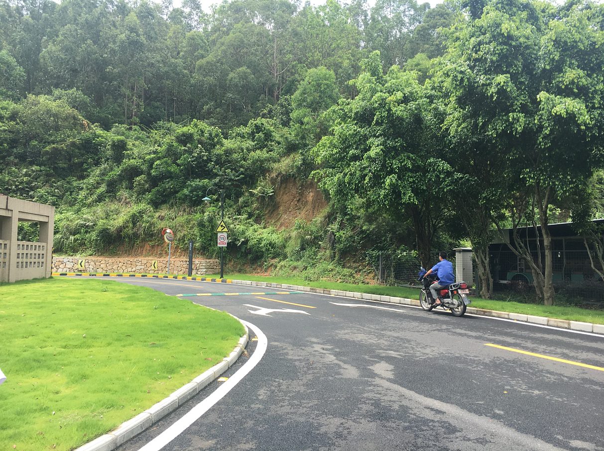 北师大珠海分校园区交通标识