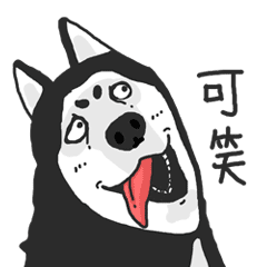疯狂皮皮哈表情包（图ZMTYzNjE0MTE2） - 网络表情 - 站酷设计师李澔喆原创素材 - 站酷ZCOOL