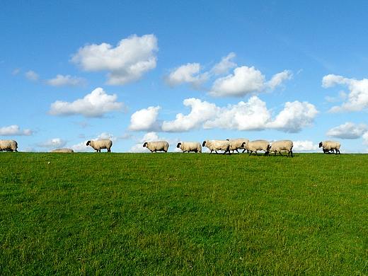 35D×汇柒鲜食品包装设计（个人主页-ZNDExMjUxMDQ=） - 包装 - 站酷设计师三十五地原创素材 - 站酷ZCOOL