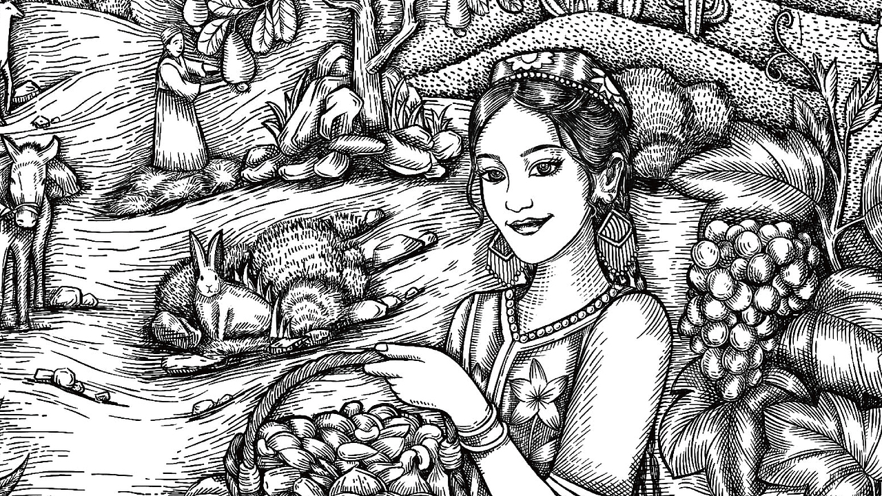 坚果包装（图ZMjUwOTMzMzY4） - 商业插画 - 站酷设计师食品包装王菲原创素材 - 站酷ZCOOL