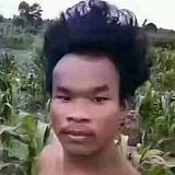 欧泡果奶要要要的头像