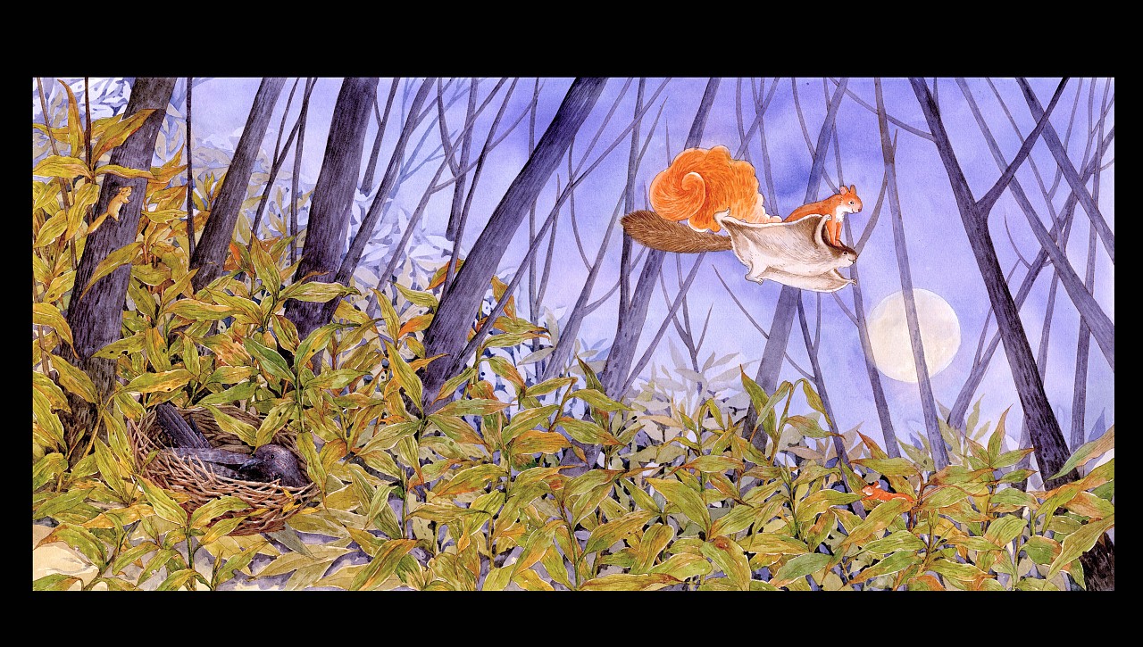 蒋大喵的个人主页（封面预览） - 主页封面设置 - 站酷设计师蒋大喵原创素材 - 站酷ZCOOL