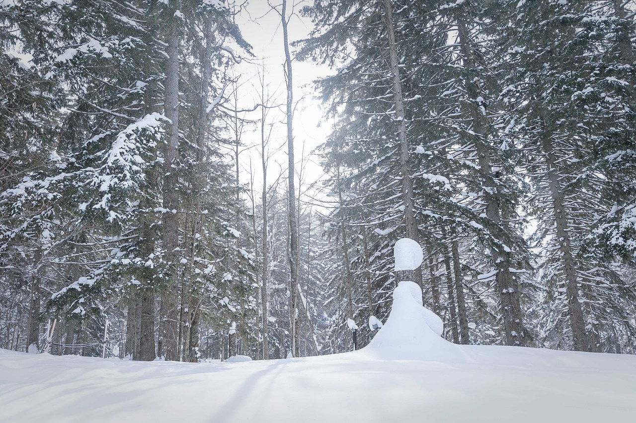 我在北海道滑雪（图ZMTA5Mzk0MzAw） - 短片 - 站酷设计师魏编来了原创素材 - 站酷ZCOOL