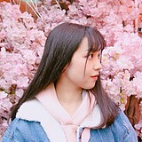 __canCan__的头像