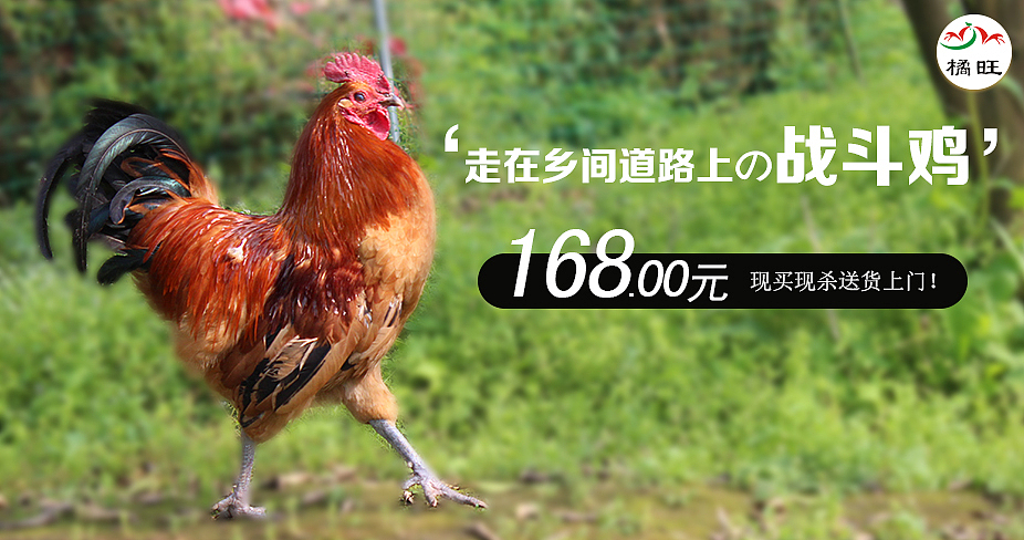 产品的介绍图（图ZMzA1MDY0MjA=） - 宣传物料 - 站酷设计师吸血鬼不坏原创素材 - 站酷ZCOOL