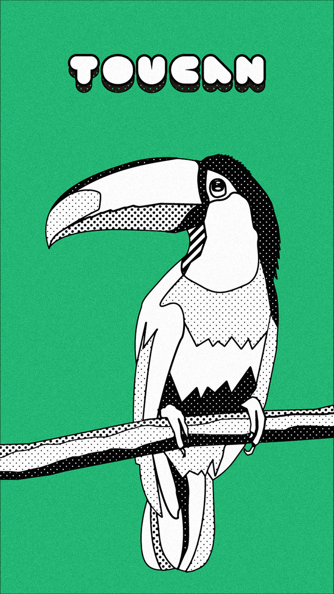 巨嘴鸟|插画|艺术插画|斌斌平面插画 - 原创作品 - 站酷 (zcool)