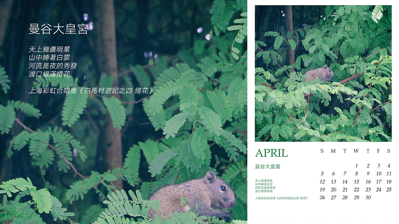 2020年台历-极简-摄影（图ZMTkzODEzMzM2） - 其他摄影 - 站酷设计师曙光与晨原创素材 - 站酷ZCOOL