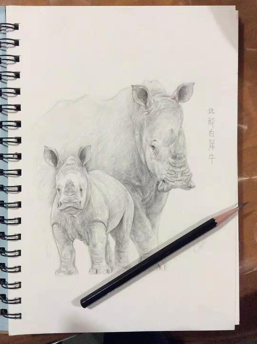 十大濒危或者已经灭绝的动物|其他|其他|鱼骨头绘画设计_原创作品