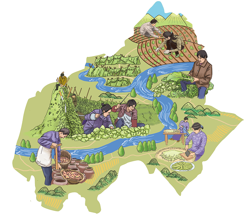 技艺鸡卡通小清新的包装插画火锅插画  友联自热火锅标签榨菜地图传统