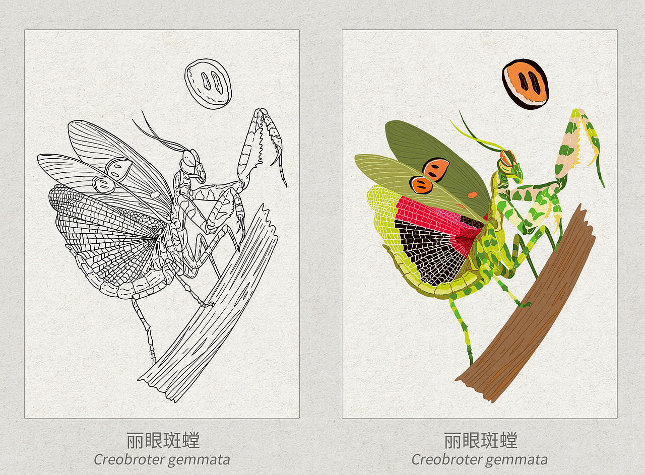 OY手绘:登云湖·自然生态手绘图谱