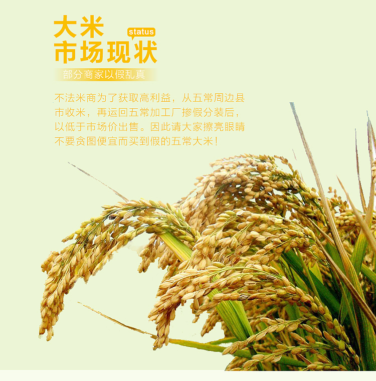 2小时搞定的五常大米详情页设计（图ZNzgzNDY4ODA=） - 电商 - 站酷设计师SugarNO1原创素材 - 站酷ZCOOL