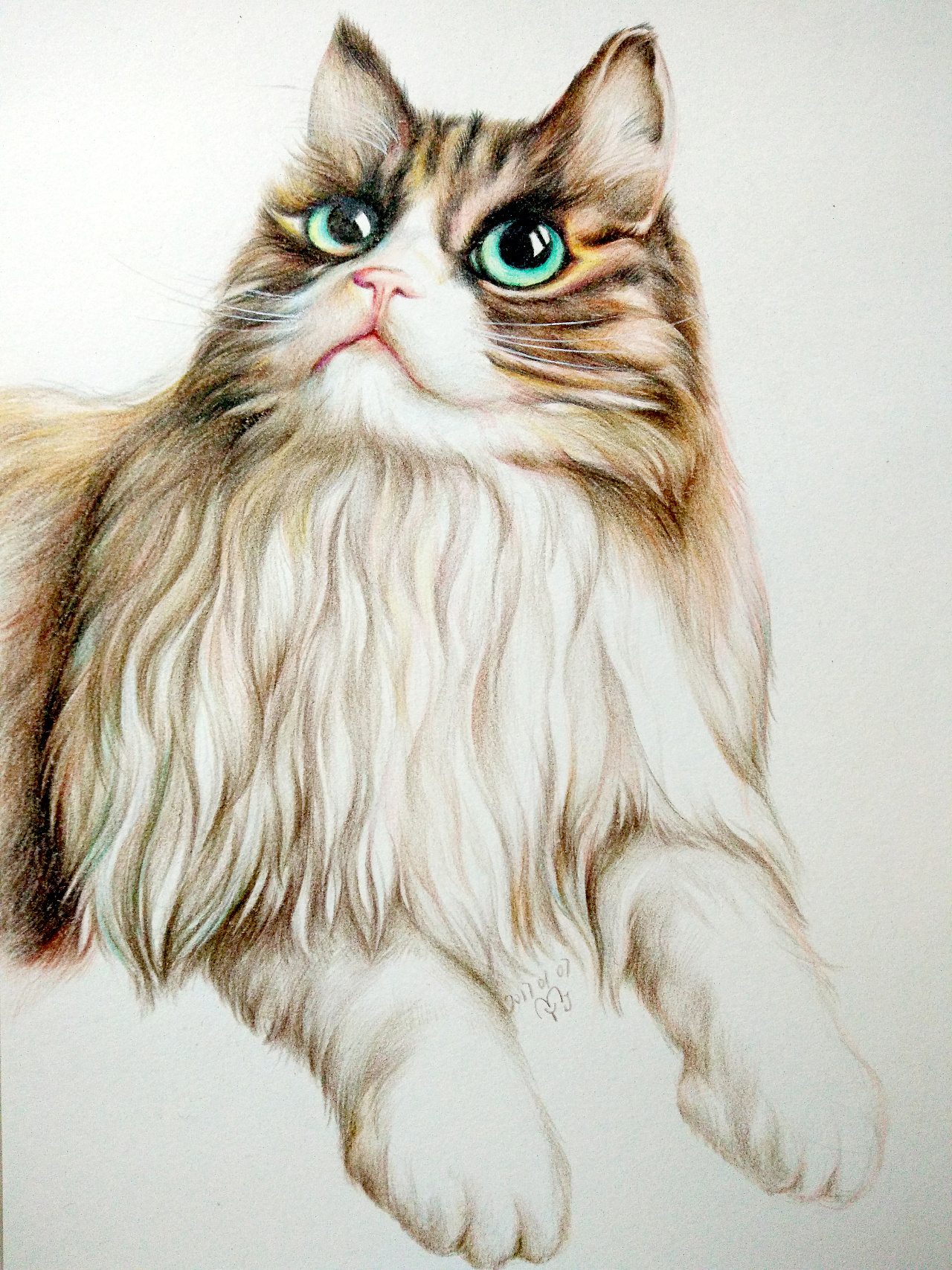 彩铅喵一枚|纯艺术|绘画|会画画的云 - 原创作品 - 站酷 (zcool)