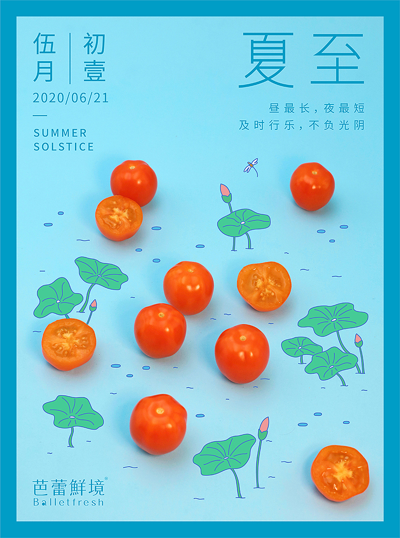 芭蕾鲜境-夏至