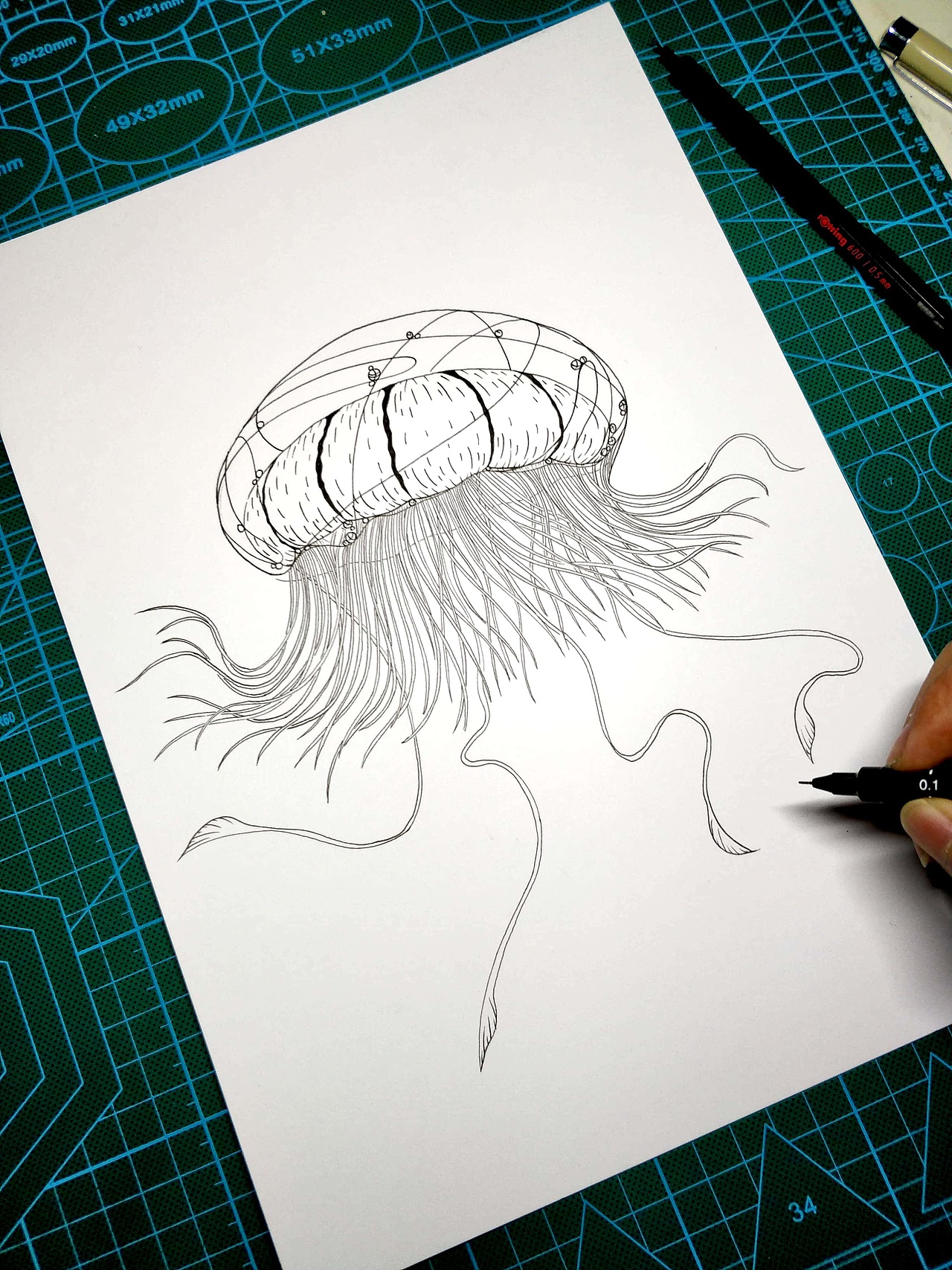 一组黑白水母插画