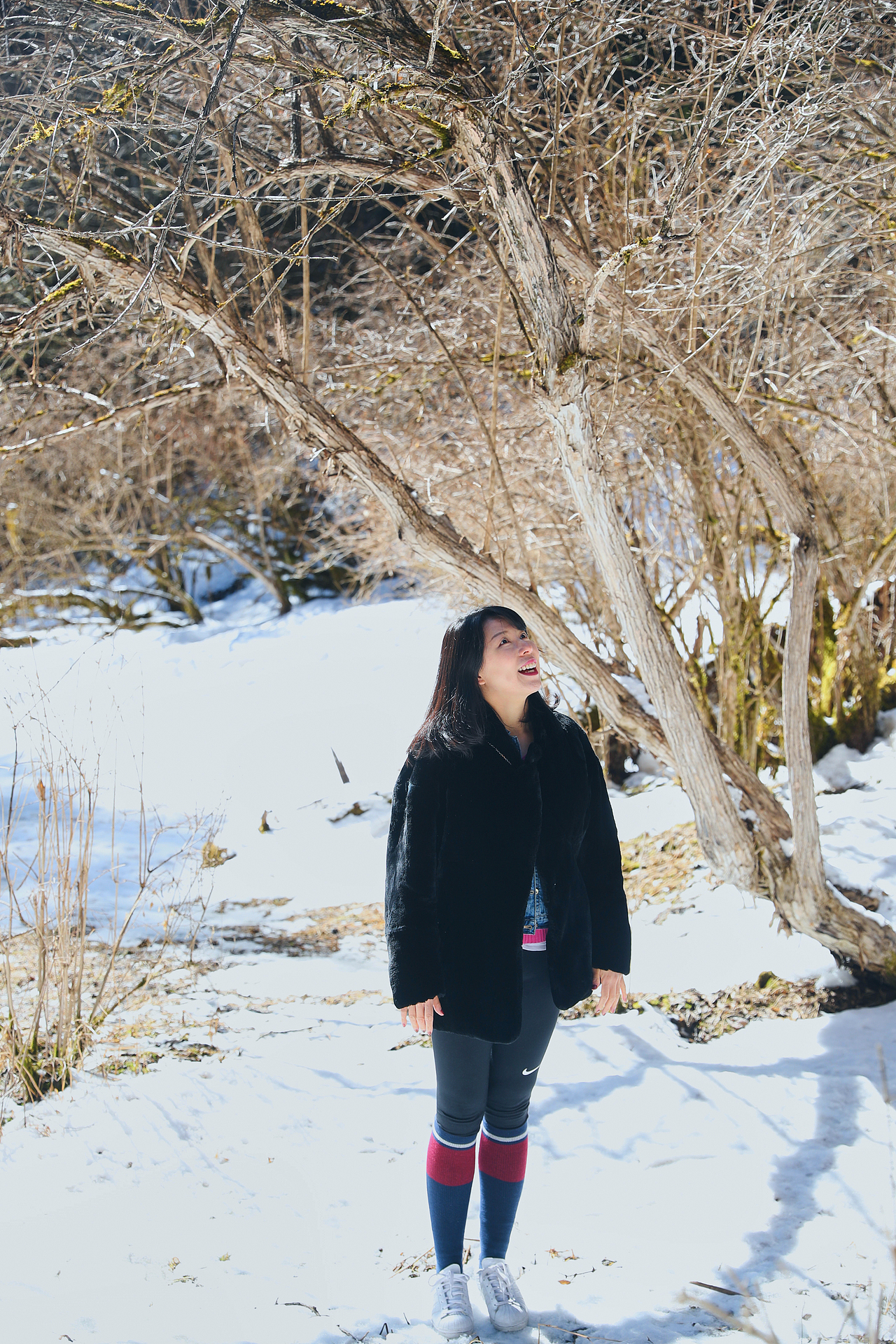 震后重新开放的九寨沟（图ZMTA4MjM4MjU2） - 风光摄影 - 站酷设计师Samchen原创素材 - 站酷ZCOOL