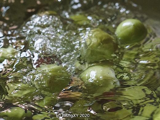 自酿青梅酒，夏天的味道