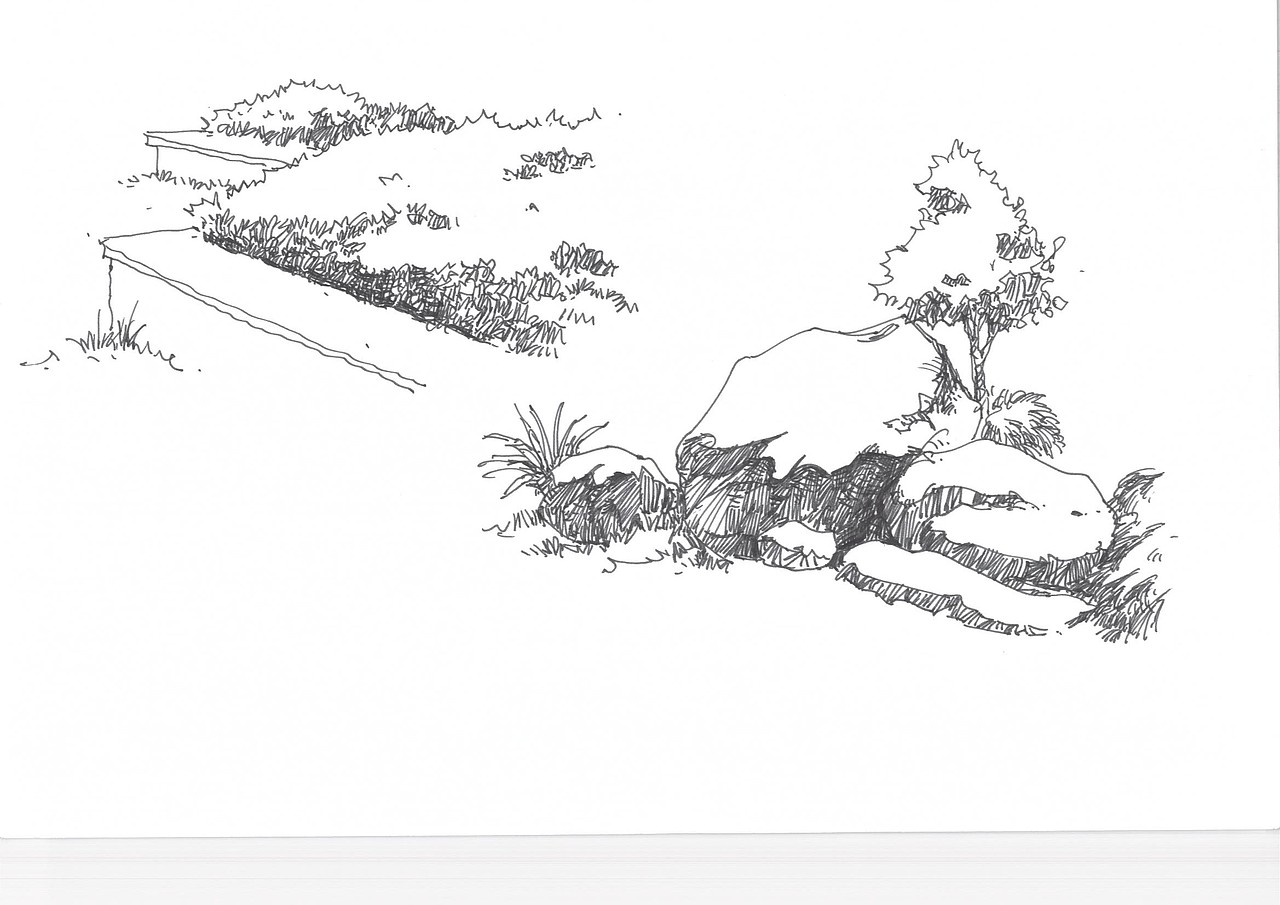 手绘（图ZMTA4NjQwNDQ4） - 景观设计 - 站酷设计师抢两个西柚来原创素材 - 站酷ZCOOL