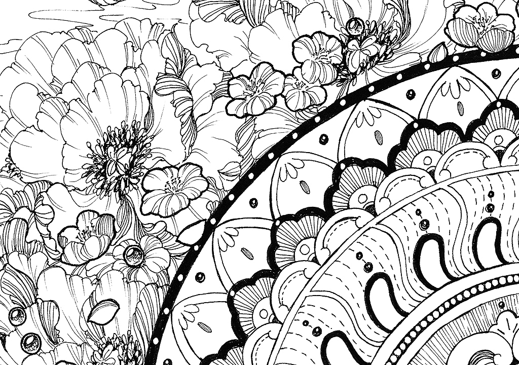 花见 唯美黑白线稿 手稿|插画|商业插画|欧洲大米omiz_原创作品-站酷