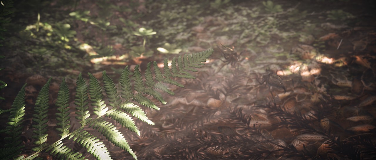 Misty Forest-Animation(图ZMjMwMTIwNTAw) - 动画/影视 - 站酷设计师ZixiIceyy原创素材 - 站酷ZCOOL