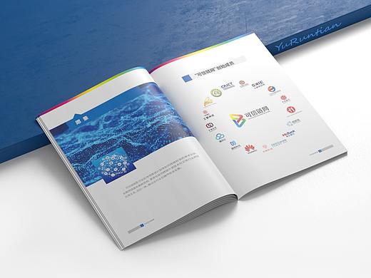 【白皮书设计】可信区块链推进计划-可信链网愿景