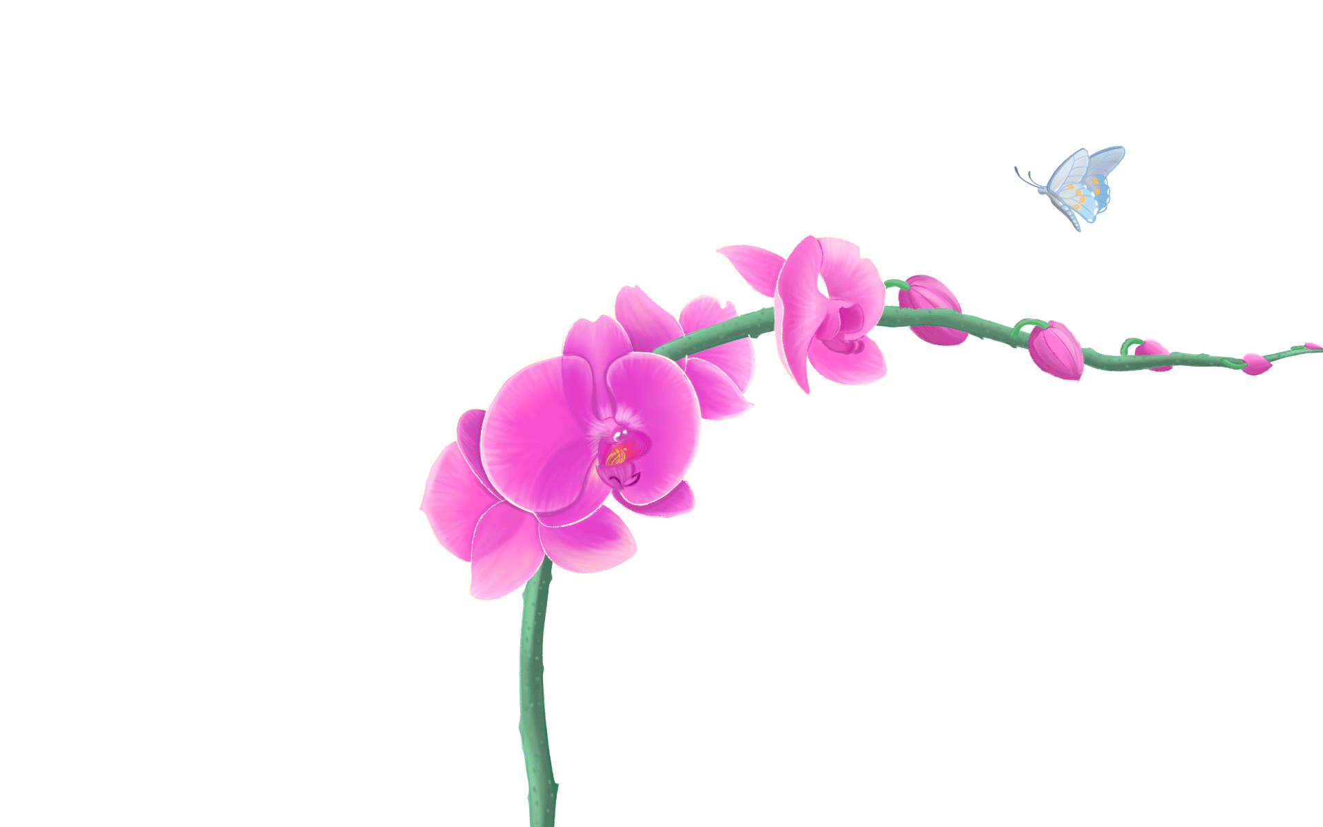 机器人表情动画设计-小精灵系列（图ZMjM4NDgxMjI0） - 艺术插画 - 站酷设计师饭安安Fananan原创素材 - 站酷ZCOOL