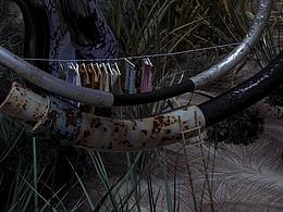 NIAONIAOde2700XINZHANG