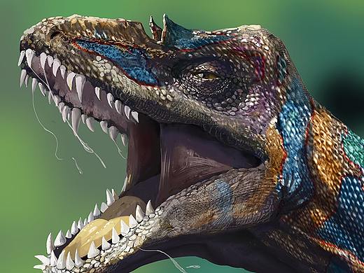 恐龍（個(gè)人主頁(yè)-ZNDE4ODc3MTY=） - 商業(yè)插畫(huà) - 站酷設(shè)計(jì)師社百姿原創(chuàng)素材 - 站酷ZCOOL