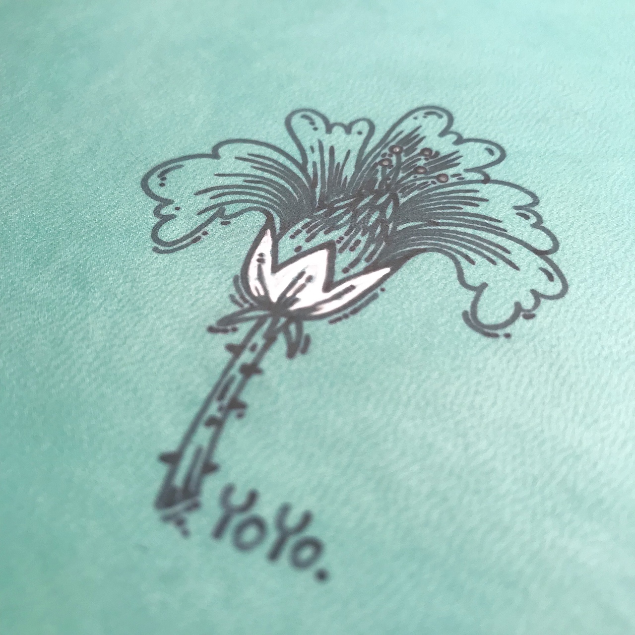 最近的一些涂鸦