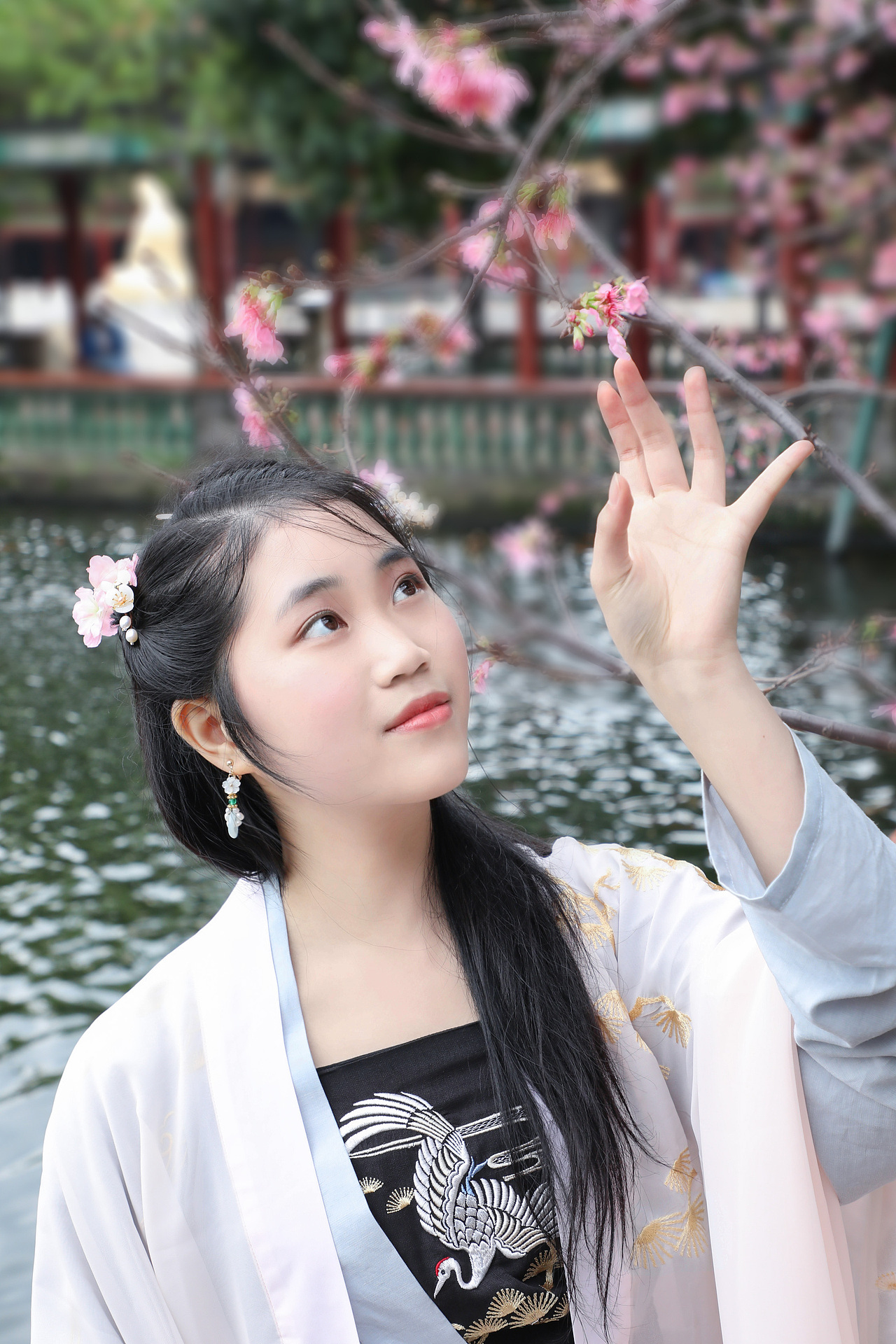 宝墨园樱花盛开时