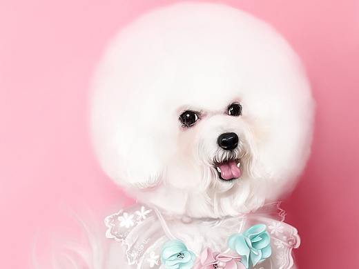 一只名叫桐桐的比熊棉花糖（个人主页-ZMzExNDkyMTI=） - 创作习作 - 站酷设计师LNINI原创素材 - 站酷ZCOOL