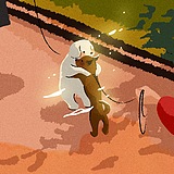 biiig_bear的头像