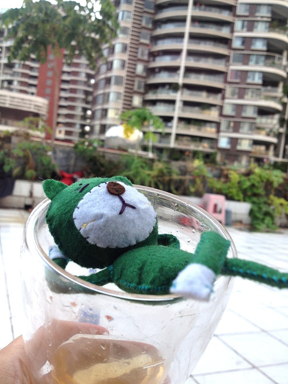 梦家族的动物园