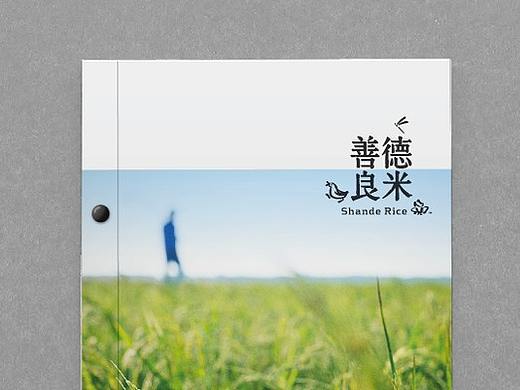善德良米品牌宣传册 Shande Rice Catalog