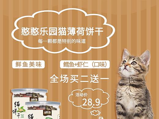 猫粮主图