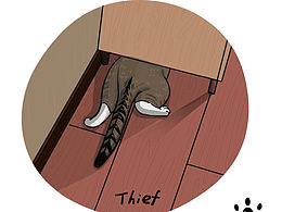 我來(lái)畫(huà)我的貓