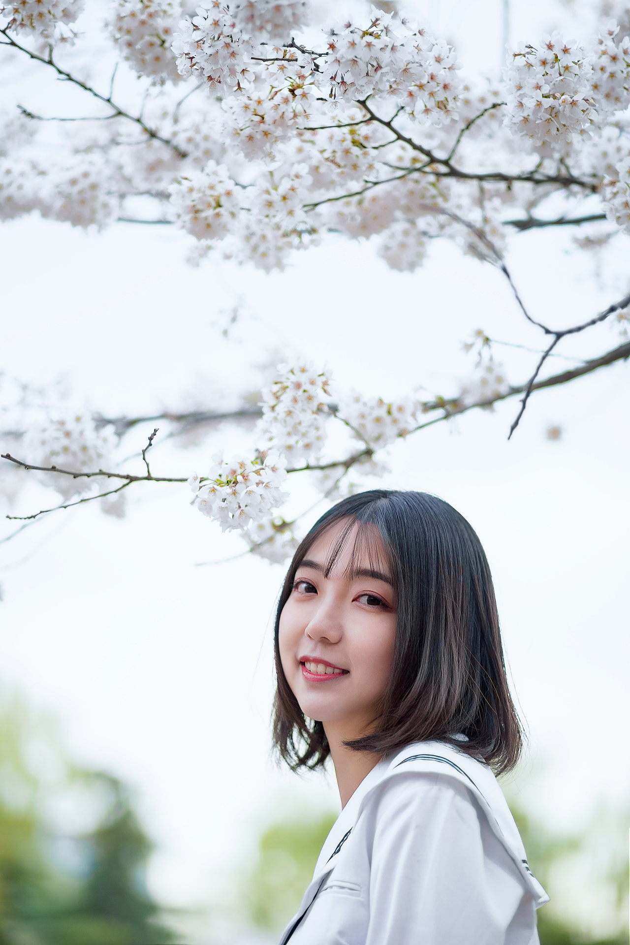 樱花开（图ZMTUzMDA4NDIw） - 人像摄影 - 站酷设计师笔画年华原创素材 - 站酷ZCOOL