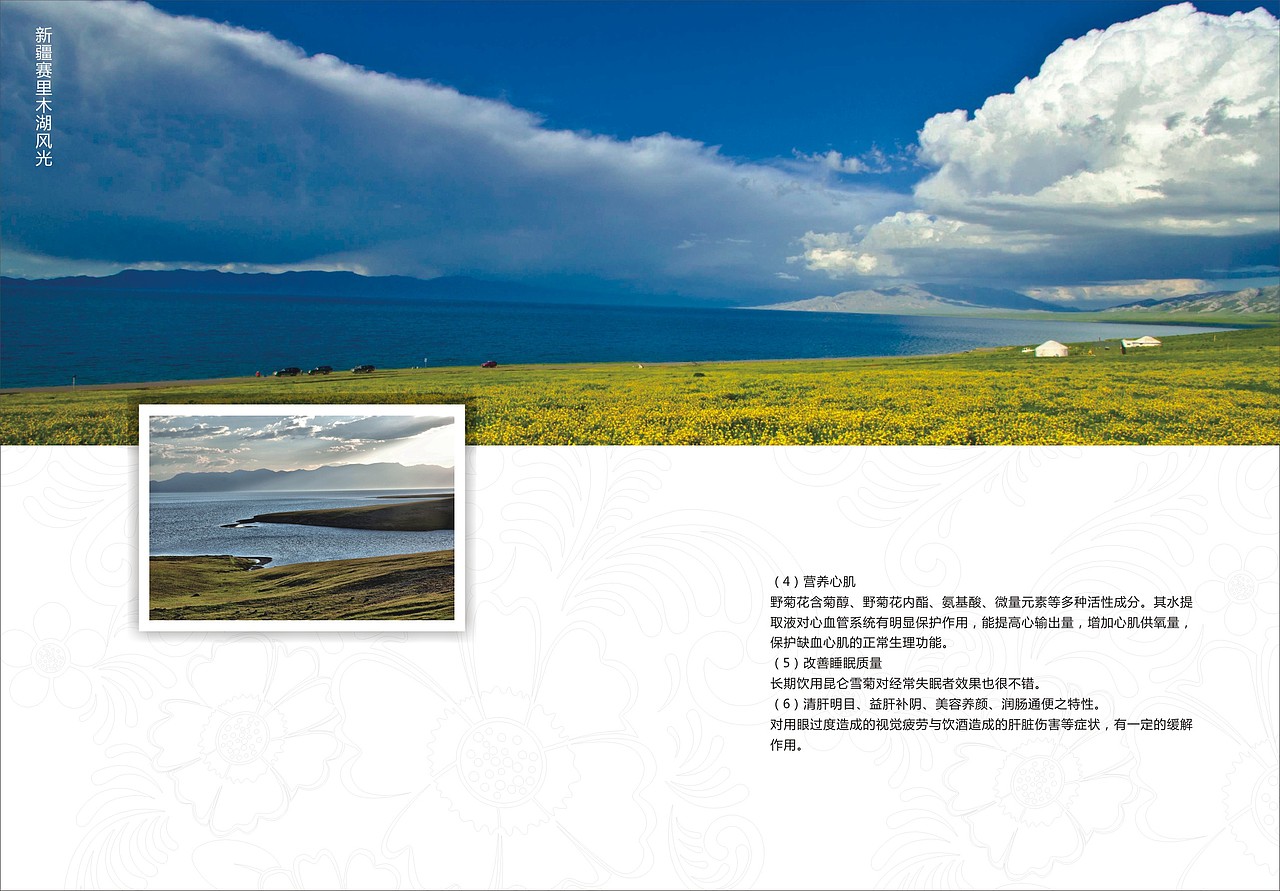 淘宝宣传小手册（图ZMjA0MjY3NjQ=） - 电商 - 站酷设计师七玥pancy原创素材 - 站酷ZCOOL