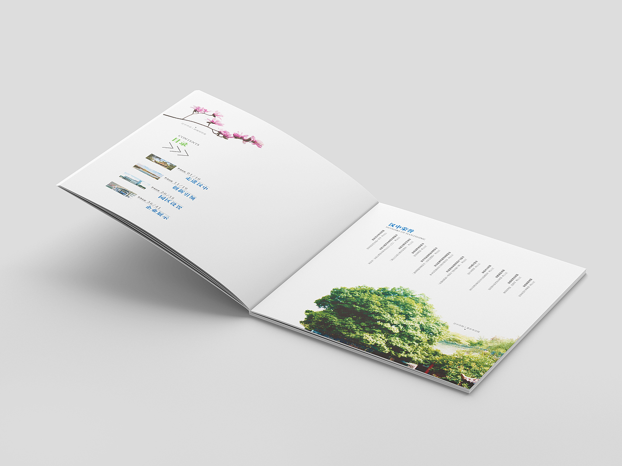 创新汉中（图ZMTgyNjAyNTI0） - 书籍/画册 - 站酷设计师宇杰嘟嘟原创素材 - 站酷ZCOOL