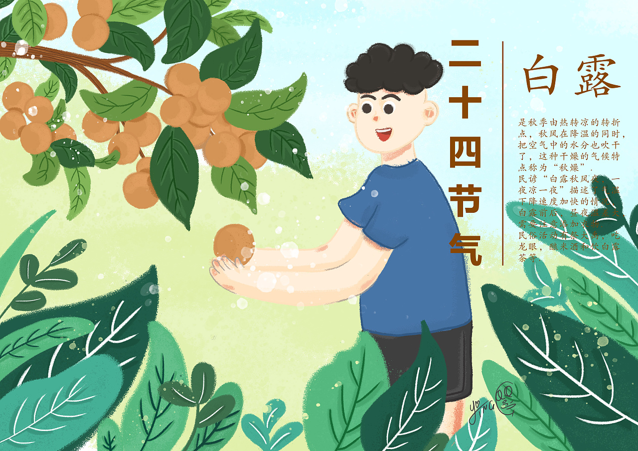 二十四节气 —— 白露