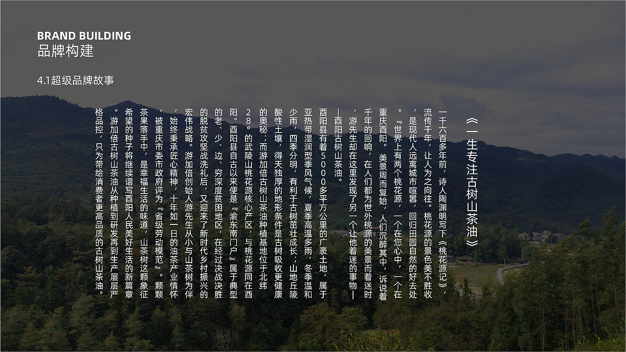 游加倍(中国)古树山茶油品牌全案策划设计