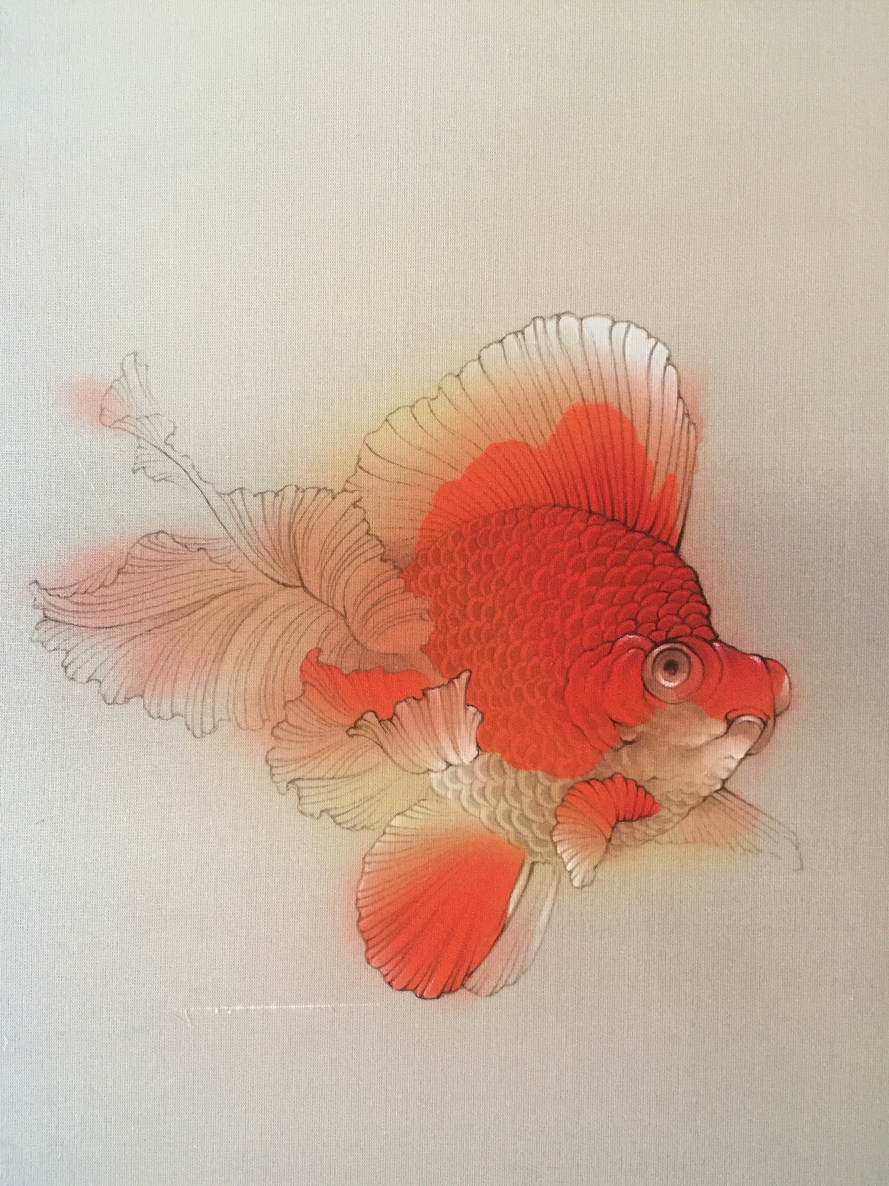 画了一些肥金鱼